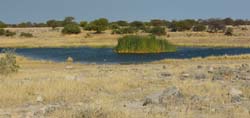 079-Water Hole 70D2-2685