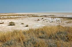 081-Edge of the Etosha Pan 70D2-2691