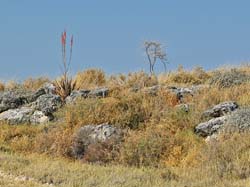 083-Landscape 70D2-2716
