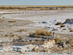 088-Etosha Pan 70D2-2726