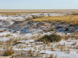 090-Etosha Pan 70D2-2727