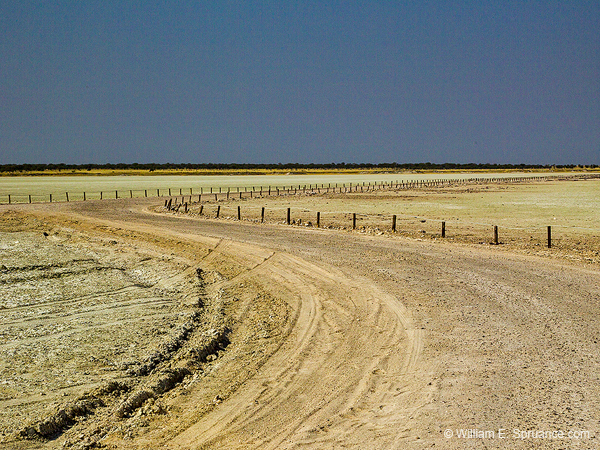 147-Road on the Etosha Pan  7J8E1287
