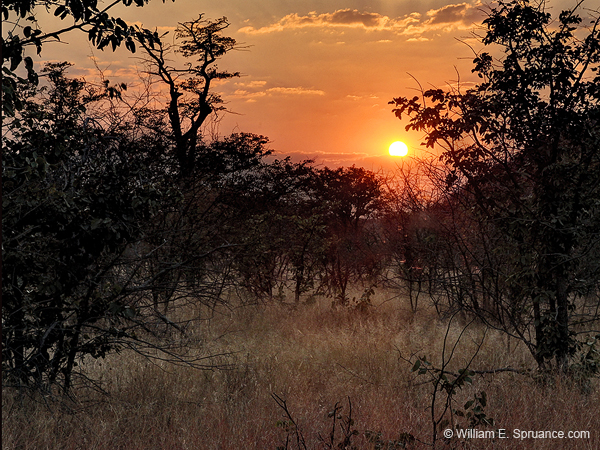 156-Sunrise at Halali Camp  7J8E1351