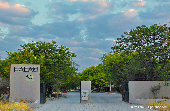 157-Halali Camp Gate  7J8E1623