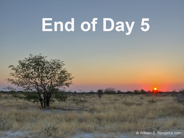 194-End of Day 5 -7J8E1234