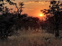 156-Sunrise at Halali Camp  7J8E1351