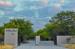 157-Halali Camp Gate  7J8E1623