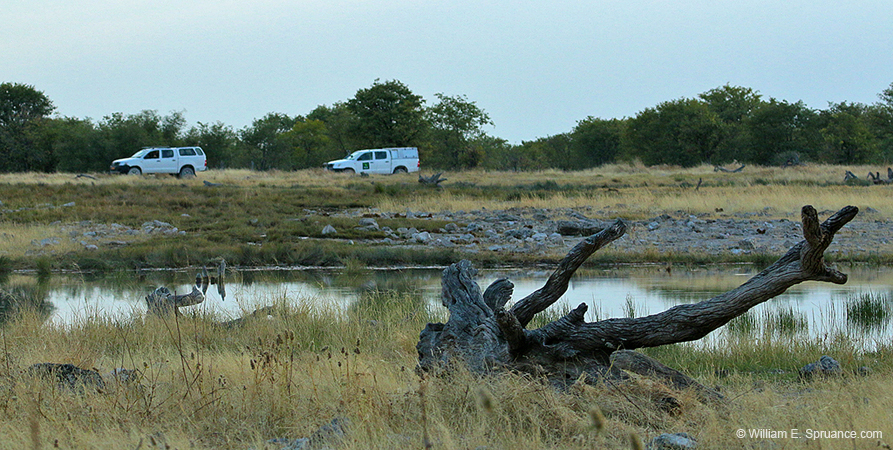 198-Surrounding a Water Hole  70D2-3545
