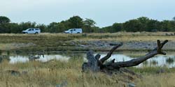 198-Surrounding a Water Hole  70D2-3545