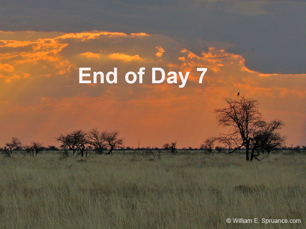 310-End of Day 7  70D2-4198
