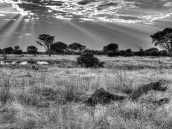 258-Blach and White Landscape  7J8E1691
