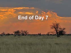 310-End of Day 7  70D2-4198