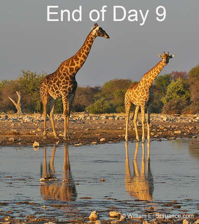 415-End of Day 9  70D2-4862