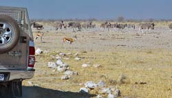 494-Water Hole Panorama 7J8E2496