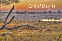 520-End of Day 11  7J8E2637