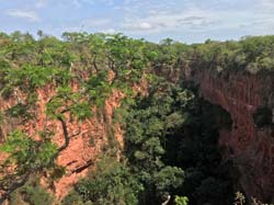0136 Cenote or Sink Hole IMG_5066