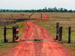 0165 Typical Ranch Land 60D-5139
