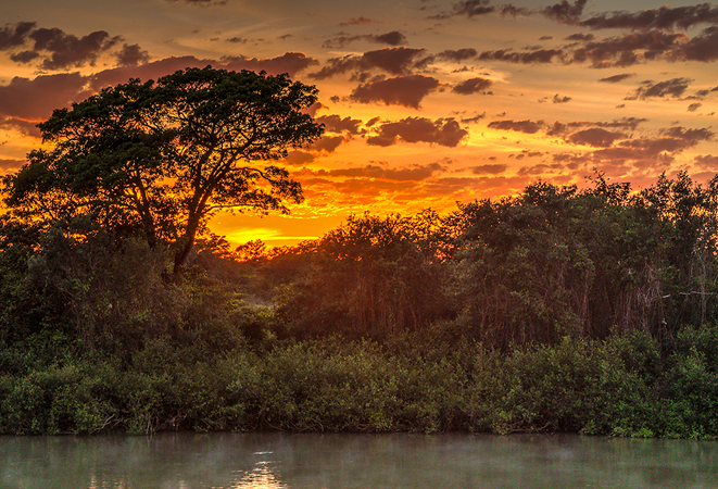 0274 Sunrise on the River 9J8E6113_4