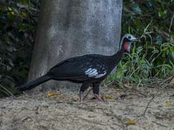 0348 Common Piping Guan 9J8E6616