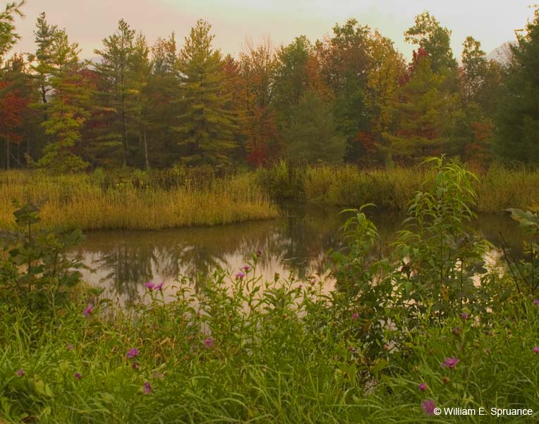 Autumn-Pond-5446