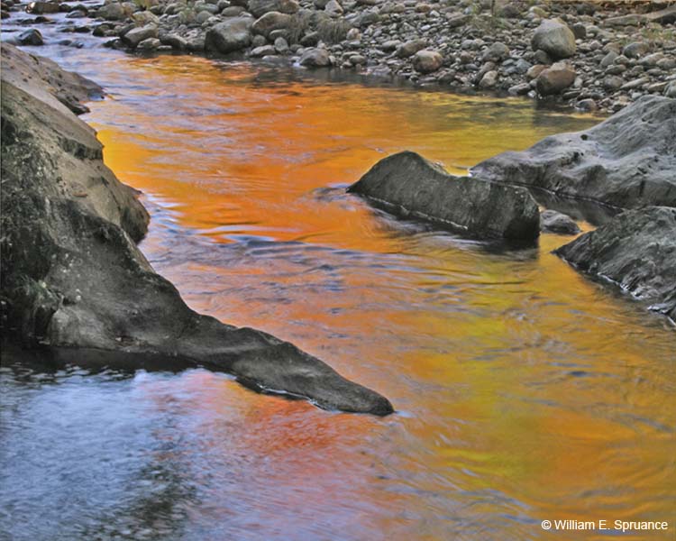 Autumn-Reflection-5564