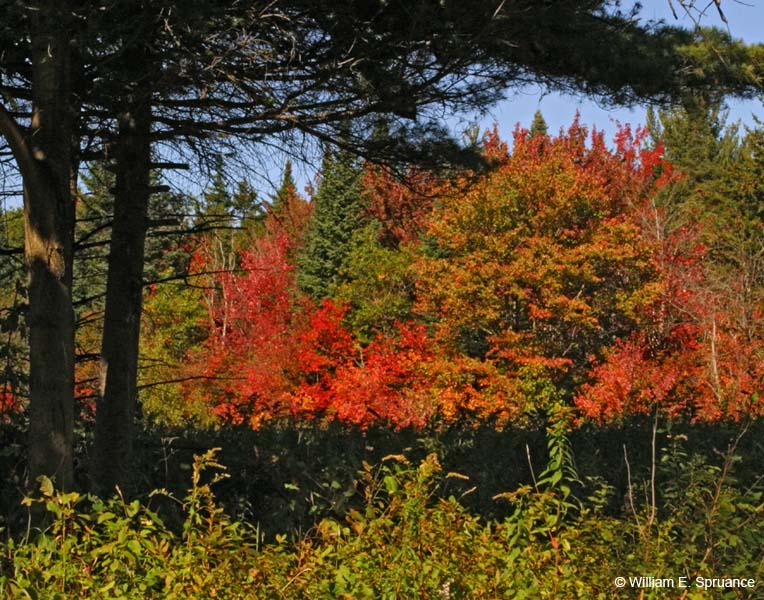 Color-Palate-5191