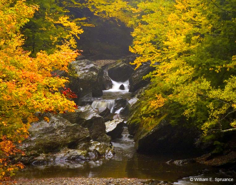 Foliage-Falls-8-5403