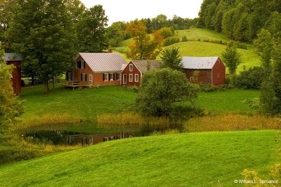 Lynn-Farm-4923