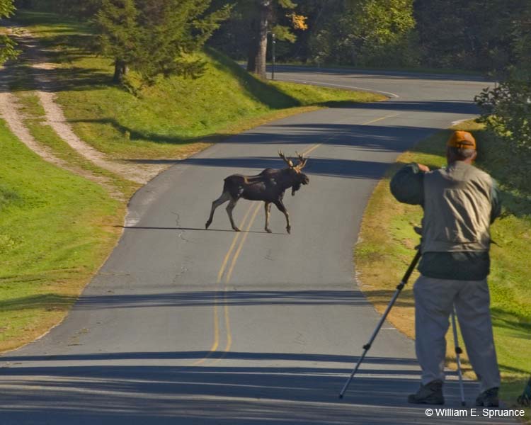 Me-with-Moose