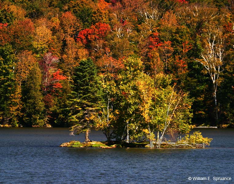 Pond-Island-5162