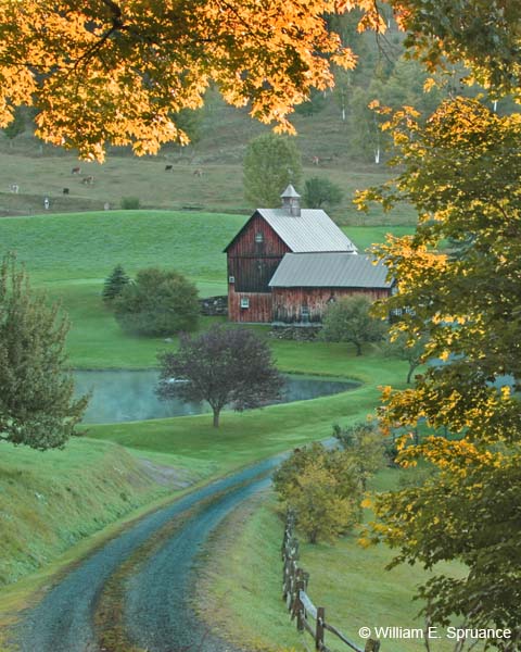 Sleepy-Hollow-Farm-4794