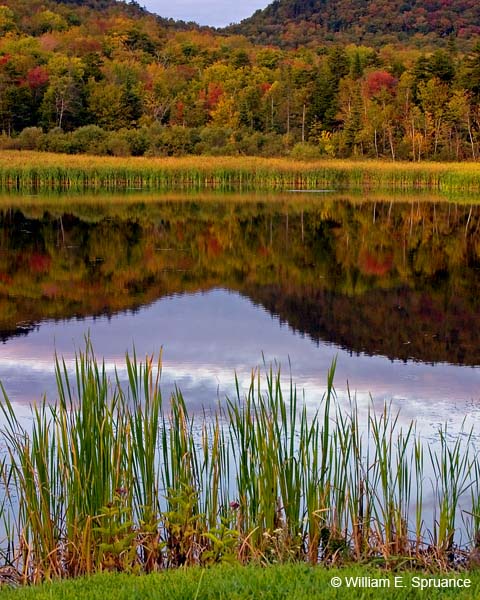 Vermont-4878
