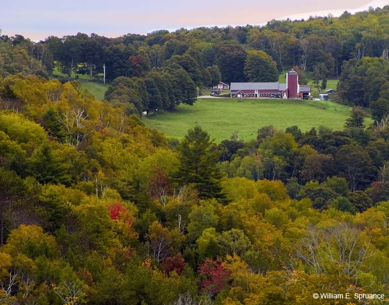 Vermont-Farm-4887