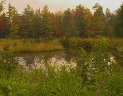 Autumn-Pond-5446