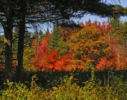 Color-Palate-5191