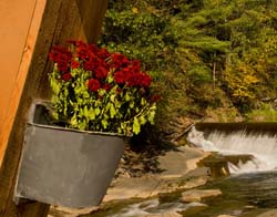 Flower-Bucket-5360