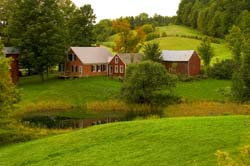 Lynn-Farm-4923