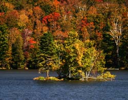 Pond-Island-5162