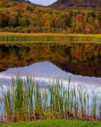 Vermont-4878