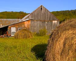 Vermont-5021