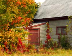 Vermont-5469