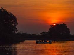 305 Sunset in the Pantanal 70D3976