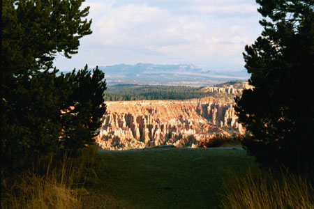 1377-10a