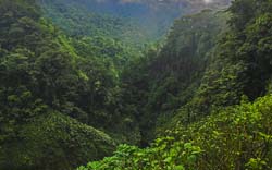 0077-IMG_3960