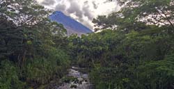 0108-IMG_3991
