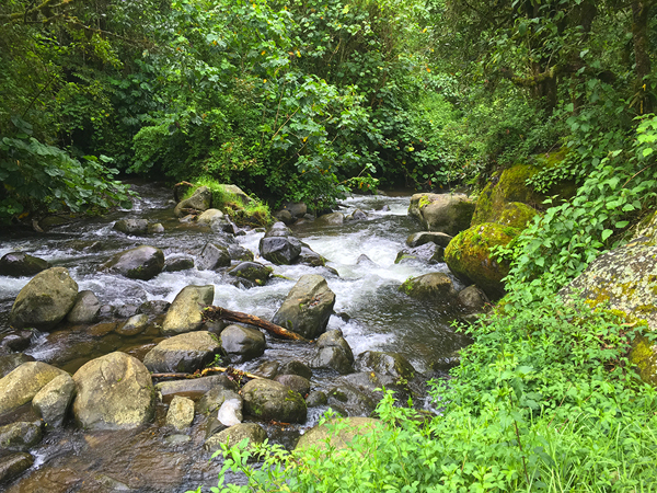 0520-iPhone6s-4475