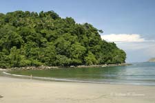 Manual Antonio Park-11882