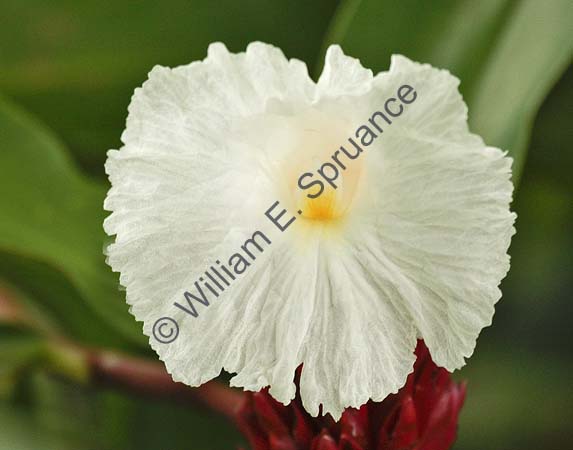 4U5B2997