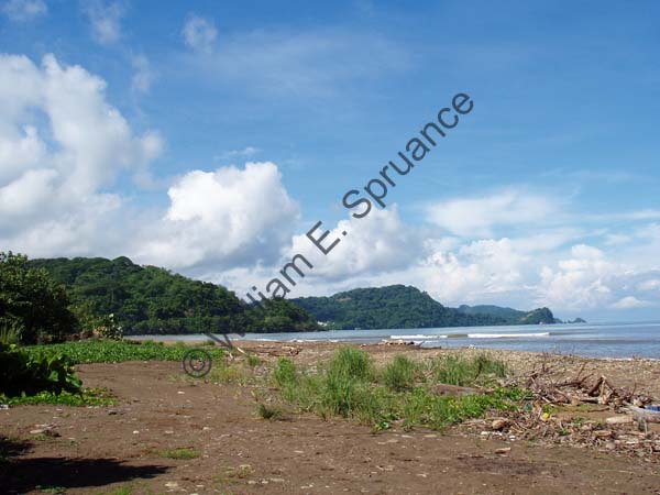 Costa-2008-30
