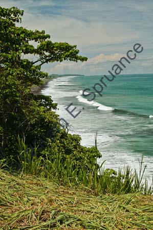 Pacific Coast 4U5B2740
